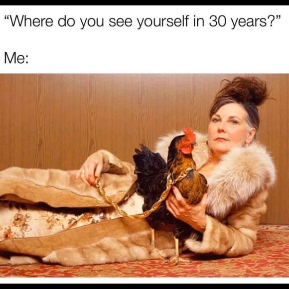 Meet your Posher, Julie - Picture 2 of 7